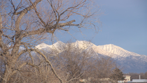 Blanca Winter