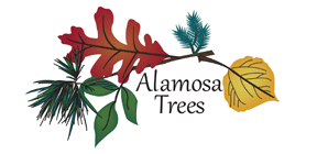 Alamosa Trees