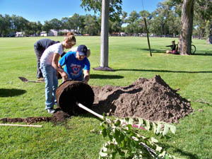 Mikyla and father Rusty Johnson get ready to drop an ash tree into its hole.