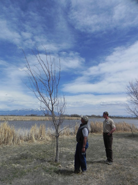 Checking out Field Site
